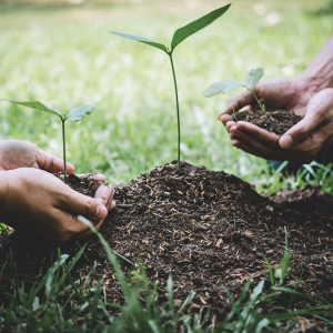 Untitled design - 2026-04-07T131104.279